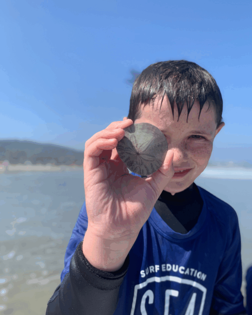 SEA Adventure Camp where kids explore and surf at a summer camp in la jolla shores san diego california